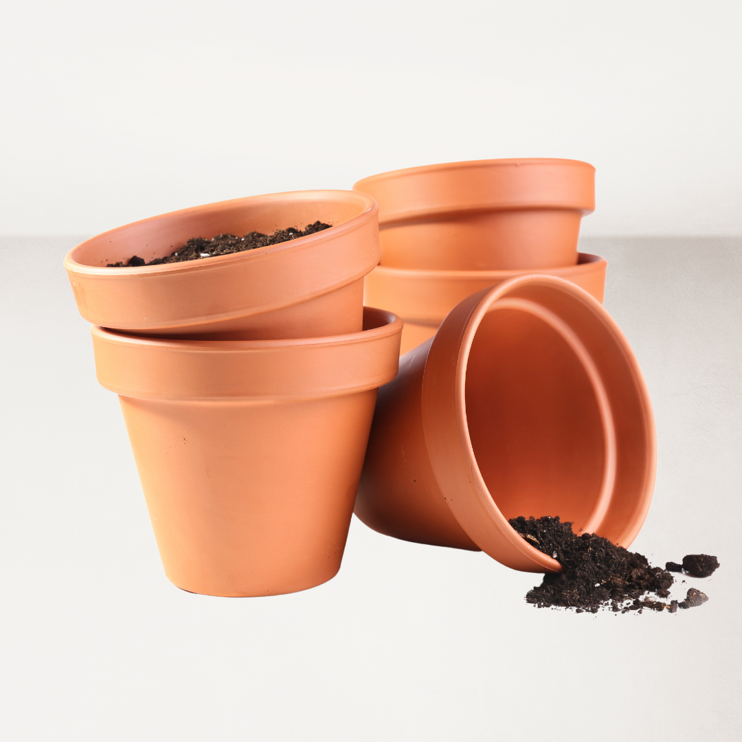 Pots, Planters & Bags