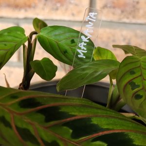 Reusable Acrylic plant tags